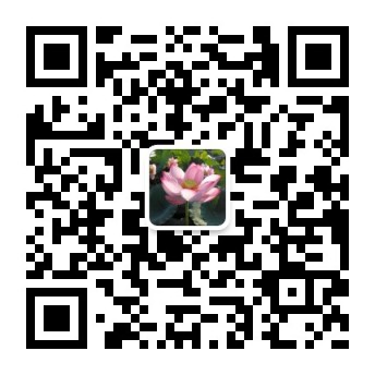 秀美龍?zhí)?>
                                  <span id=